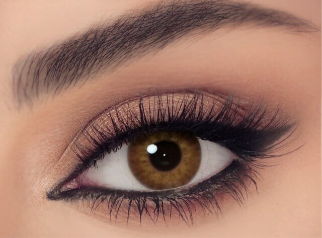 عدسات سيلينا ريل شيد - Real Shade